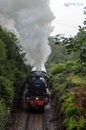 Auf nach Hogwarts ... 2