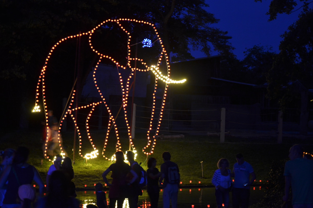 lichterfest im karlsruher zoo/stadtgarten