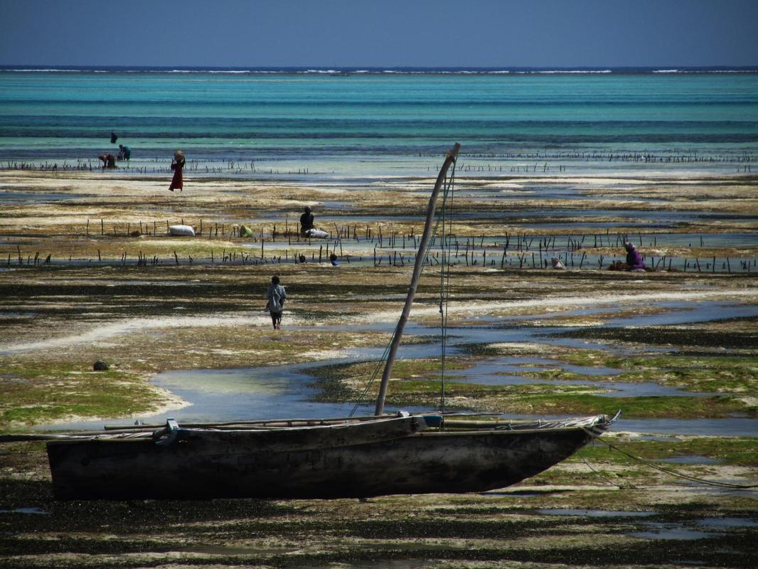 Boat on Beach