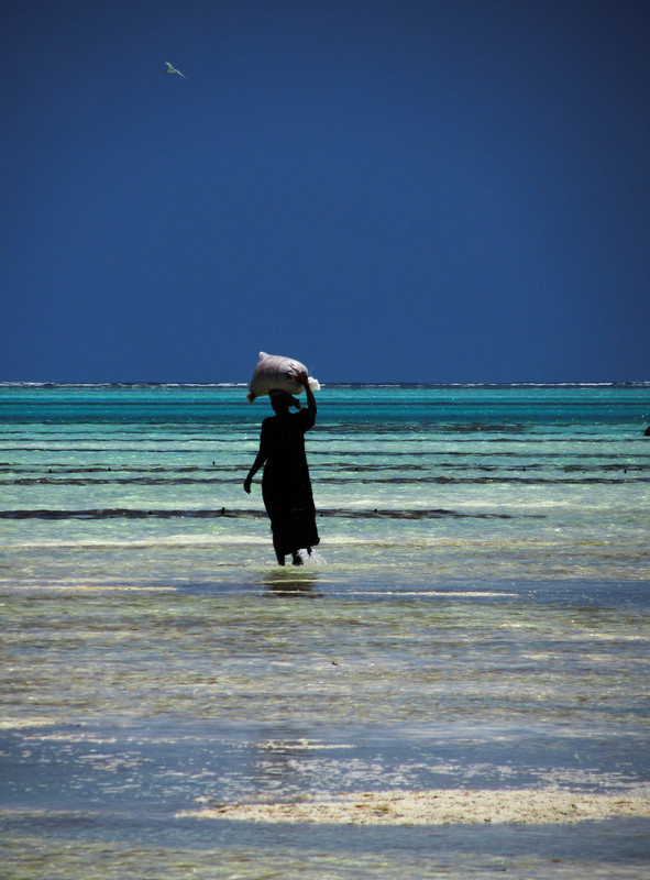  Frau am Strand