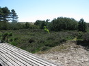 Fotos_Amrum