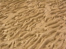 Fotos_Amrum