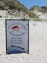 Fotos_Amrum
