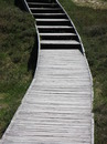 Fotos_Amrum
