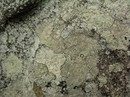 Fotos_Amrum
