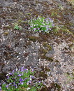 Fotos_Amrum