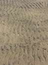 Fotos_Amrum