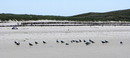 Fotos_Amrum
