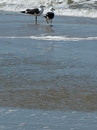 Fotos_Amrum