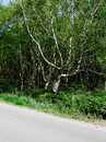 Fotos_Amrum