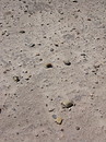 Fotos_Amrum