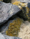 Fotos_Amrum