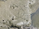 Fotos_Amrum