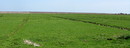 Fotos_Amrum
