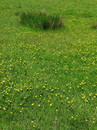 Fotos_Amrum