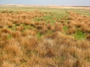 Fotos_Amrum