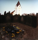 Fotos_Amrum