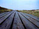 Fotos_Amrum