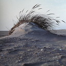 Fotos_Amrum
