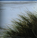 Fotos_Amrum
