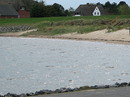 Fotos_Amrum