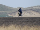 Fotos_Amrum