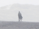 Fotos_Amrum