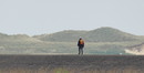 Fotos_Amrum