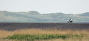 Fotos_Amrum