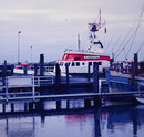 Fotos_Amrum