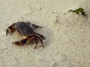 Fotos_Amrum
