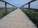 Fotos_Amrum