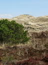 Fotos_Amrum