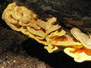 Fotos_Amrum