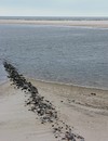 Fotos_Amrum