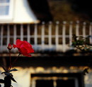 Fotos_Amrum
