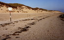 Fotos_Amrum