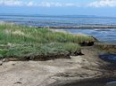 Fotos_Amrum