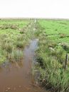 wasserführender Graben in der Norddorfer Marsch