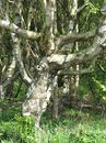 Fotos_Amrum