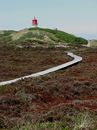 Fotos_Amrum