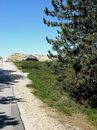 Fotos_Amrum