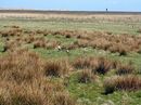 Fotos_Amrum