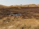 Fotos_Amrum