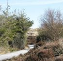 Fotos_Amrum