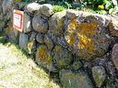 Mauer aus eiszeitlichem Geschiebe am Fleegamwai in Norddorf