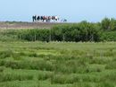 Fotos_Amrum