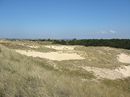 Blick über Dünen und  Inselwald Richtung Norddorf und Odde