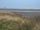 Blick vom Wattenweg bei Steenodde in nordöstliche Richtung über das Wattenmeer