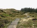 Bohlenweg in Amrums nördlicher Dünenwelt